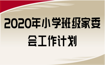 2020СW(xu)༉(j)ί(hu)Ӌ(j)