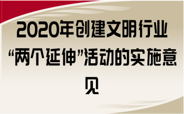 2020ꄓ(chung)ИI(y)ɂ(g)족(dng)Č(sh)ʩҊ