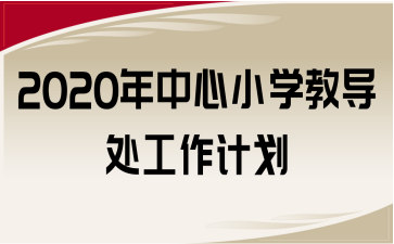 2020年中心小學(xué)教導(dǎo)處工作計(jì)劃