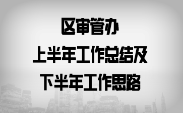 區(qū)審管辦上半年工作總結(jié)及下半年工作思路