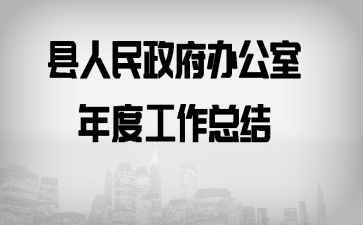 縣人民政府辦公室年度工作總結(jié)