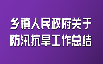 鄉(xiāng)鎮(zhèn)人民政府關(guān)于防汛抗旱工作總結(jié)