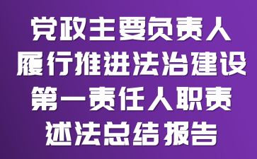 黨政主要負(fù)責(zé)人履行推進(jìn)法治建設(shè)第一責(zé)任人職責(zé)述法總結(jié)報(bào)告
