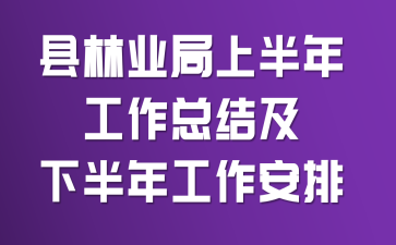 縣林業(yè)局上半年工作總結及下半年工作安排