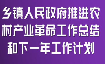 鄉(xiāng)鎮(zhèn)人民政府推進(jìn)農(nóng)村產(chǎn)業(yè)革命工作總結(jié)和下一年工作計(jì)劃