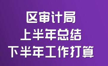 區(qū)審計(jì)局上半年總結(jié)下半年工作打算