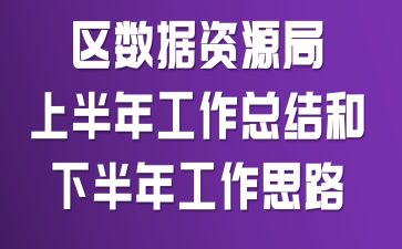 區(qū)數(shù)據(jù)資源局上半年工作總結(jié)和下半年工作思路